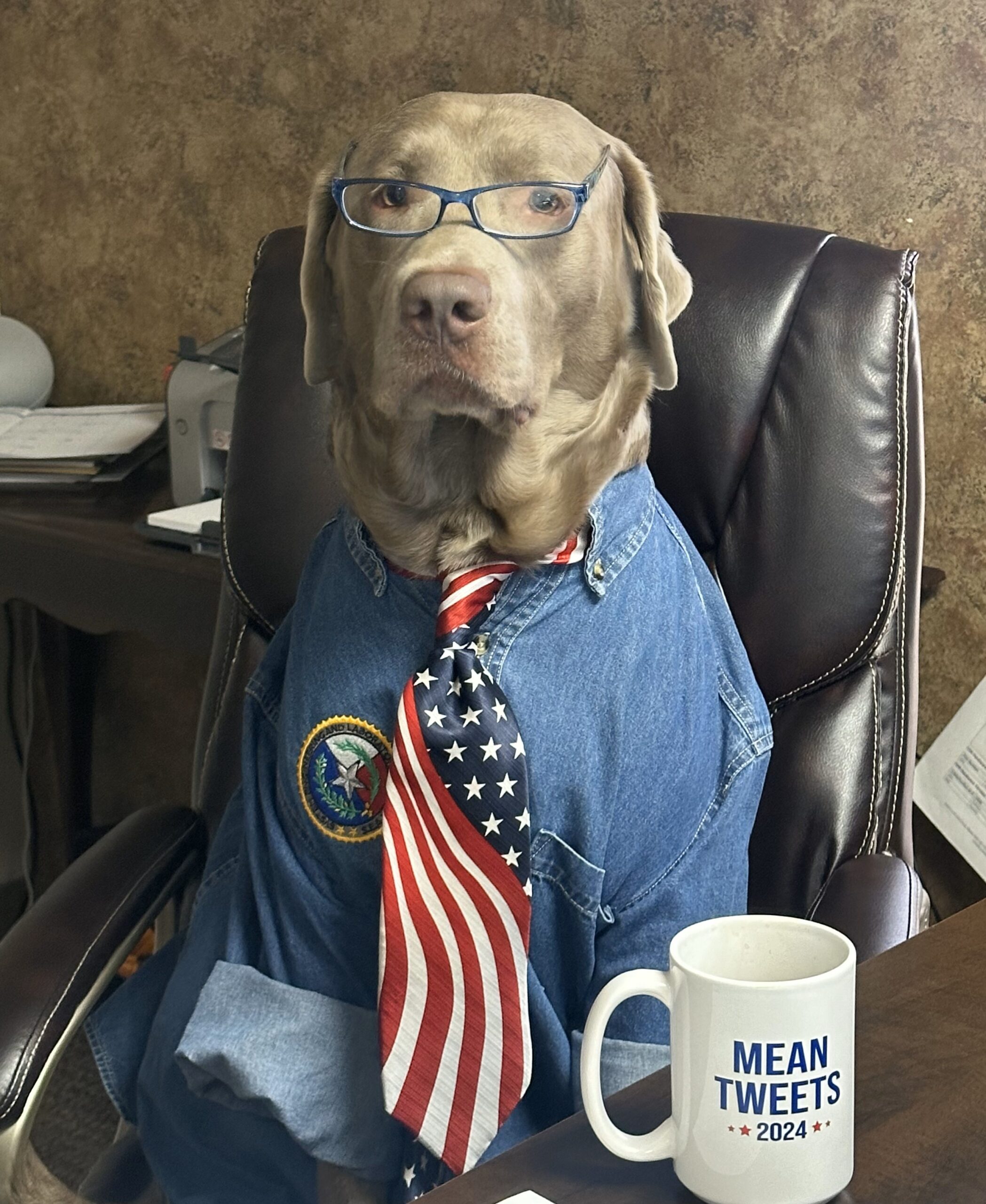 Hoss - 2024 Pawlitical Candidate - Mean Tweets